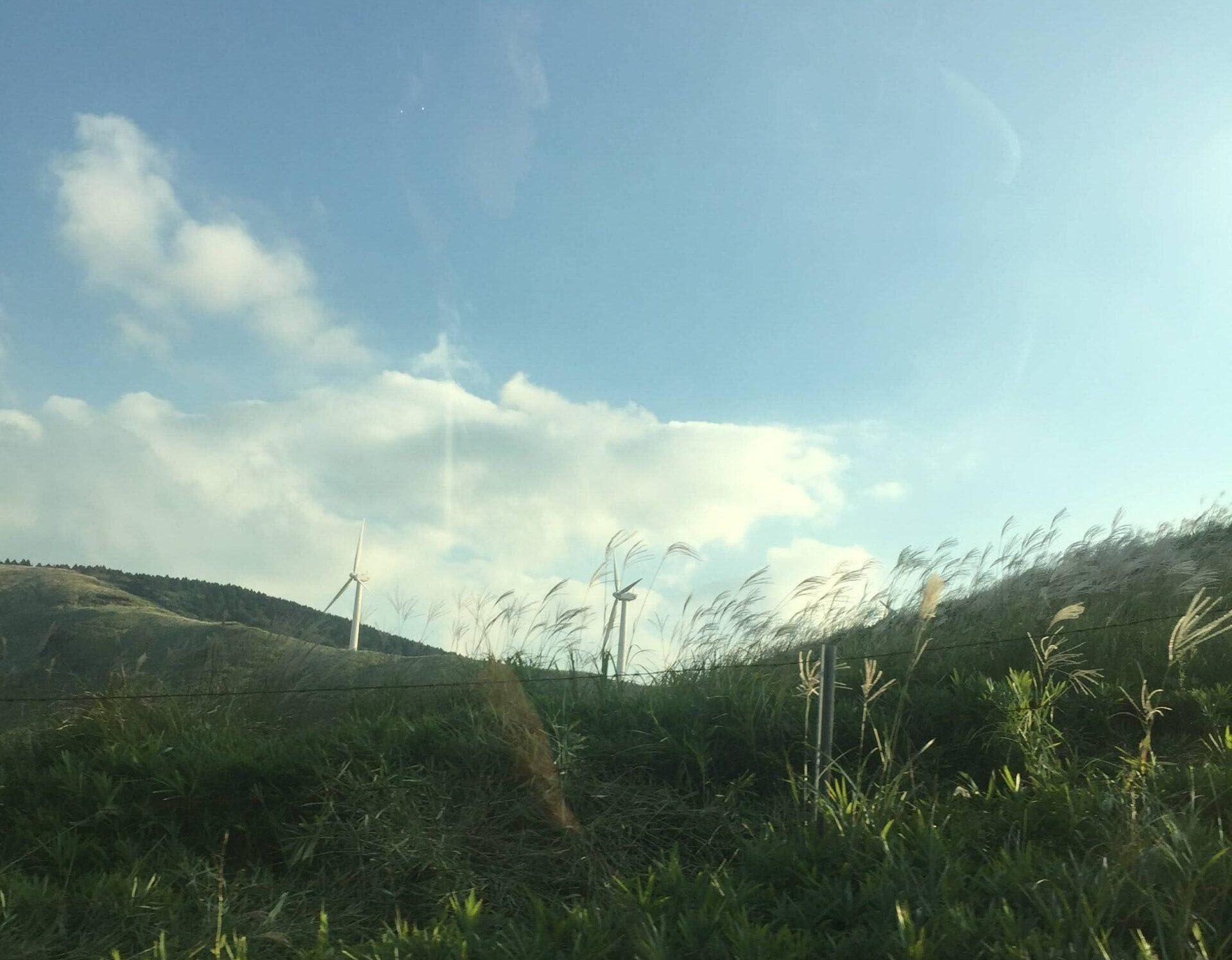 熊本の大草原