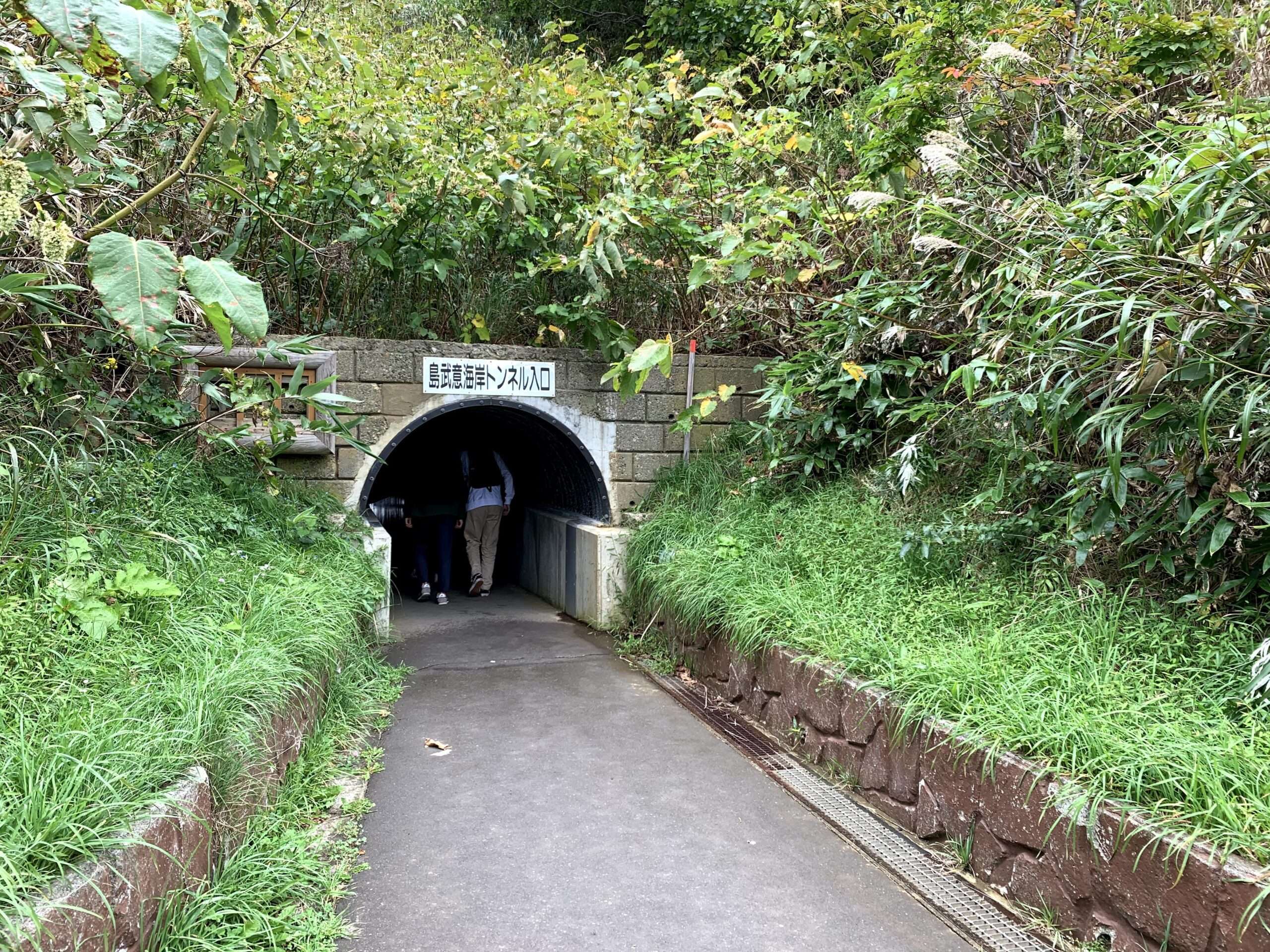 海岸へのトンネル