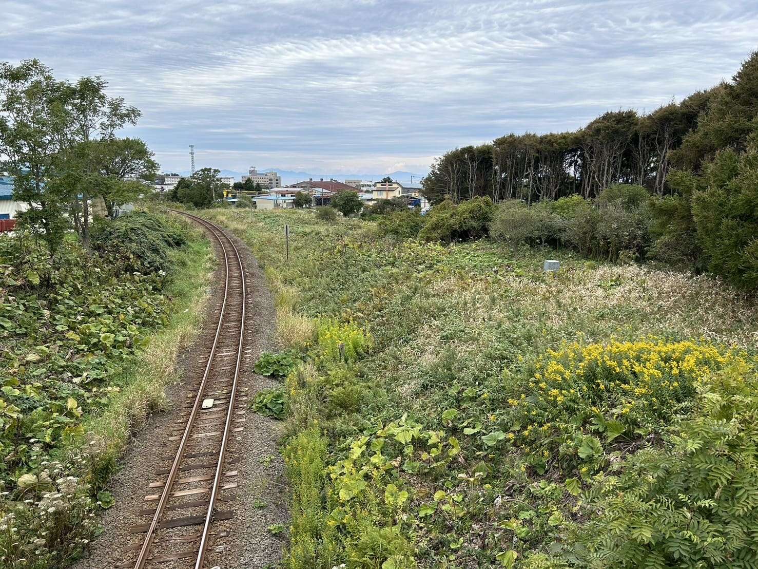 根室線の線路