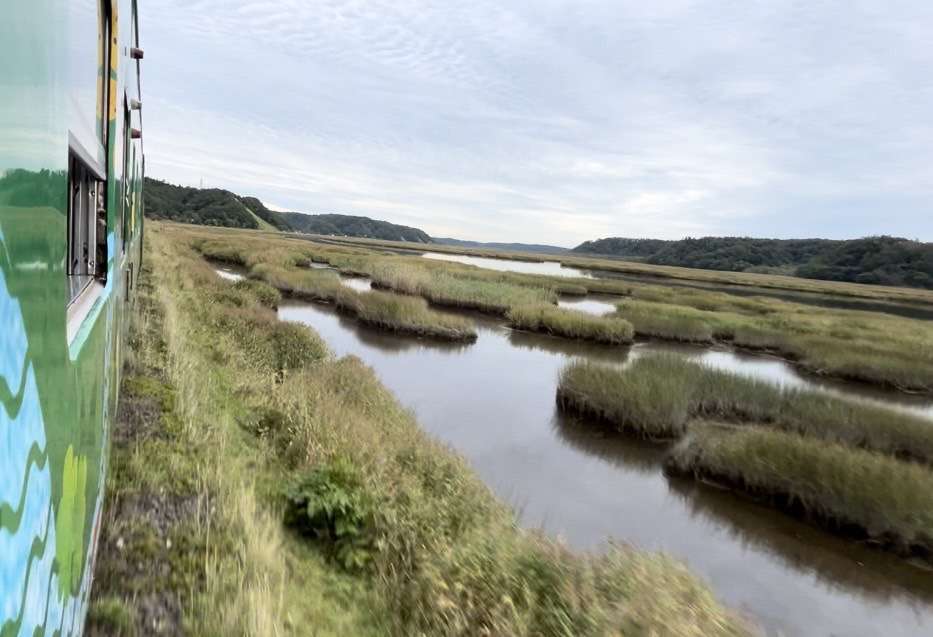 鉄道と湿原